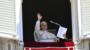 O Papa em português: “dou as boas-vindas aos peregrinos do Brasil!”