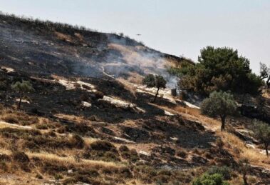 Cisjordânia, o pároco de Taybeh: “Preservar a presença cristã”