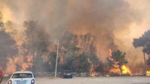 Emergência de incêndios na Itália: relatório aponta falta de prevenção e negligência
