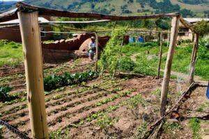 Bolívia. Gota a gota, o desafio dos agricultores nos Andes