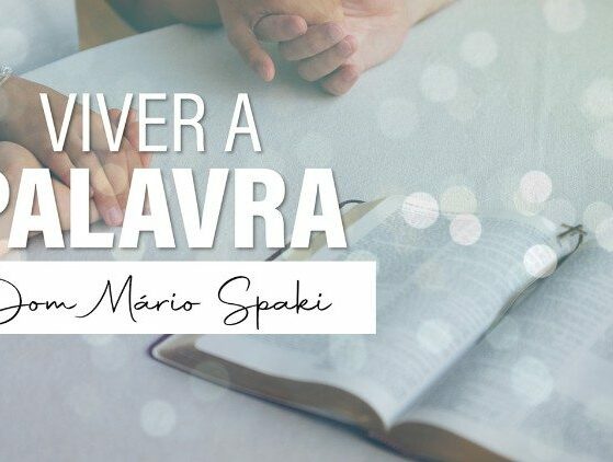 Evangelho de 13 de agosto