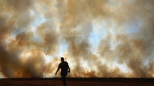 Desertificação e degradação do solo na pauta da COP17, na Mongólia