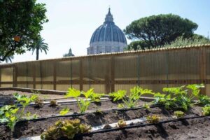 A horta do Papa nos Jardins Vaticanos está se tornando 100% orgânica
