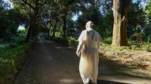 Papa: a paz começa no coração e se estende ao cuidado da criação